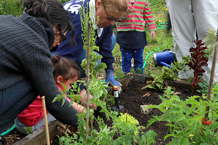 multi-generational gardening