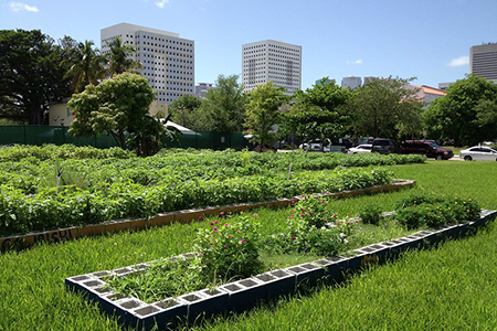 Jardín comunitario en el vecindario de Overtown, Miami, Florida