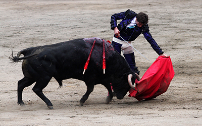 Un toro y un torero en un traje negro, ambos sobre la arena.
