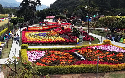 Exhibición de flores durante la Feria de las flores y el café