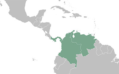 Un mapa gris de Centroamérica y el norte de Sudamérica con los países de Panamá, Colombia y Venezuela en color verde.